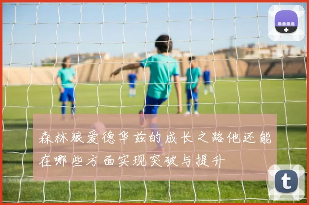 森林狼爱德华兹的成长之路他还能在哪些方面实现突破与提升