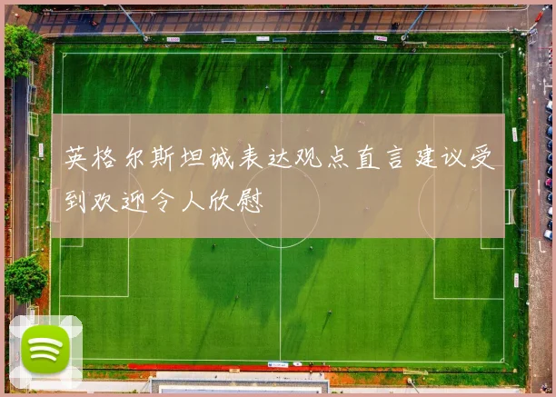 英格尔斯坦诚表达观点直言建议受到欢迎令人欣慰