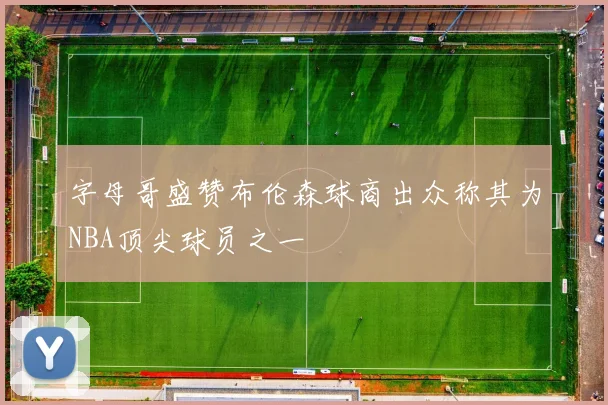 字母哥盛赞布伦森球商出众称其为NBA顶尖球员之一