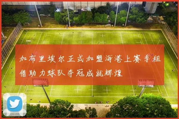 加布里埃尔正式加盟海港上赛季租借助力球队夺冠成就辉煌