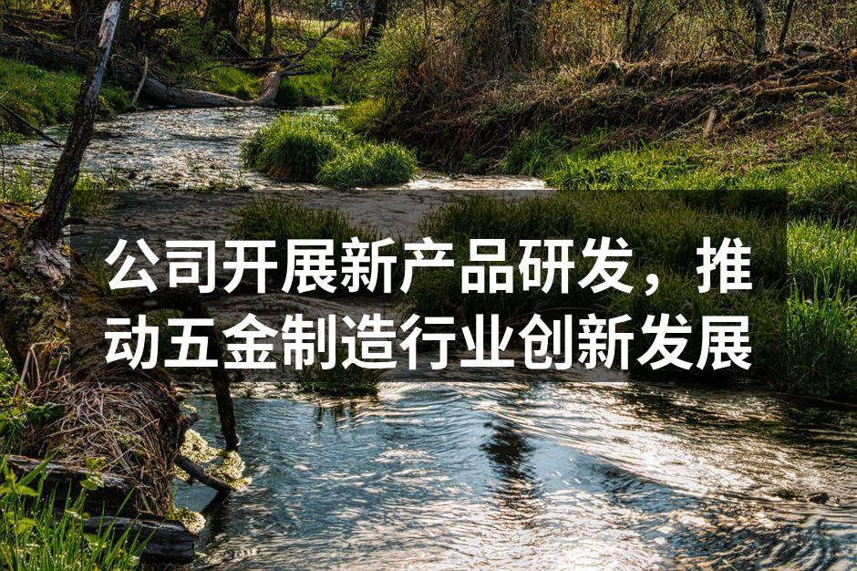 公司研发团队会议讨论新产品方向